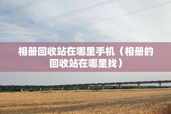 相册回收站在哪里手机（相册的回收站在***）