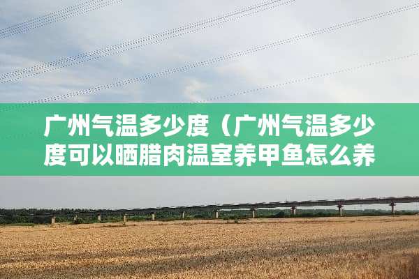 广州气温多少度（广州气温多少度可以晒腊肉温室养甲鱼怎么养）