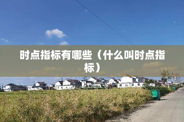 时点指标有哪些（什么叫时点指标）