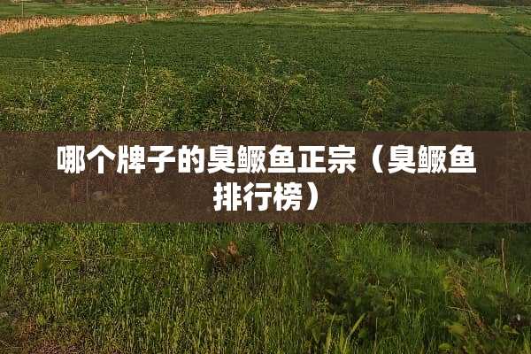 哪个牌子的臭鳜鱼正宗（臭鳜鱼排行榜）