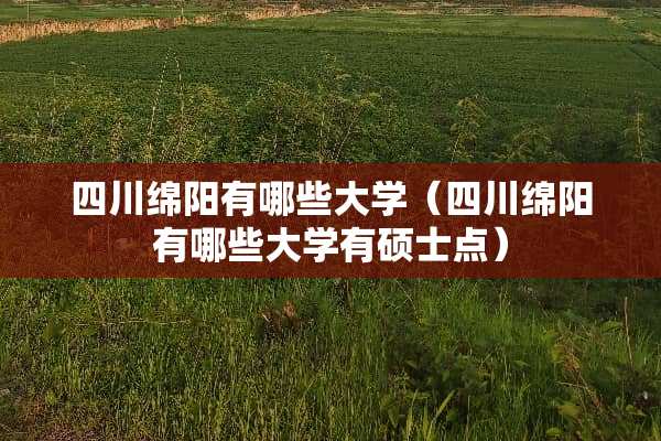 四川绵阳有哪些大学（四川绵阳有哪些大学有硕士点）