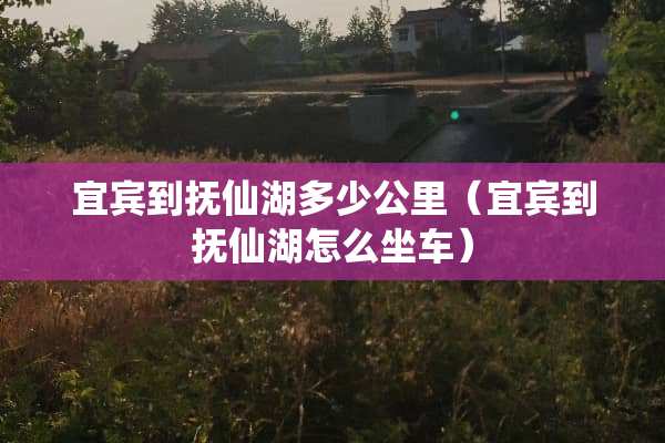 宜宾到抚仙湖多少公里（宜宾到抚仙湖怎么坐车）