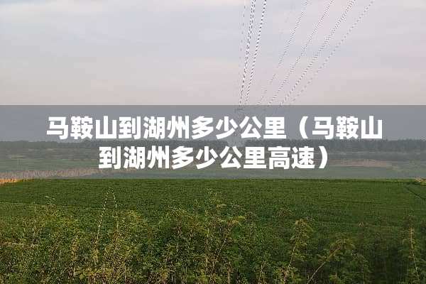 马鞍山到湖州多少公里（马鞍山到湖州多少公里高速）