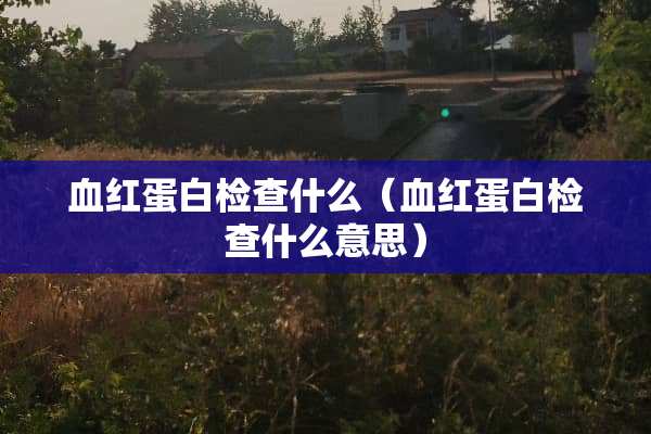 血红蛋白检查什么（血红蛋白检查什么意思）