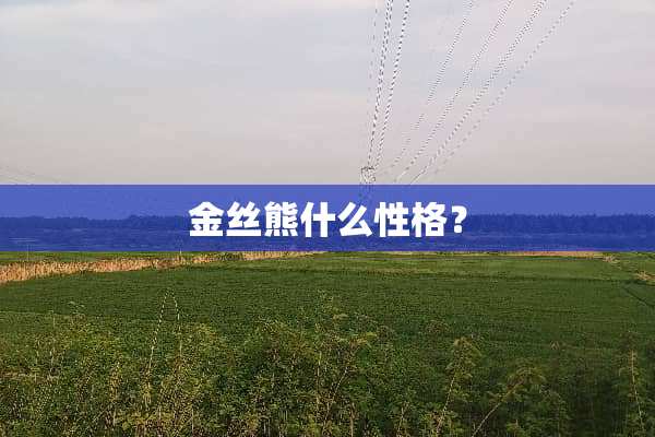 金丝熊什么性格？