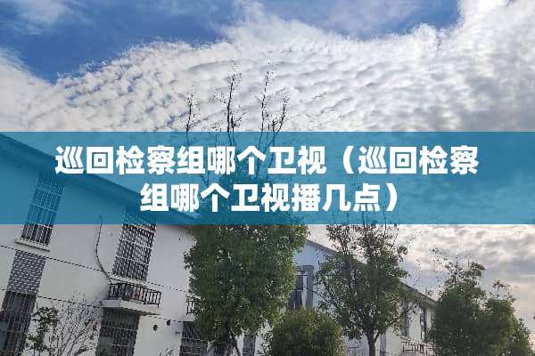 巡回检察组哪个卫视（巡回检察组哪个卫视播几点）