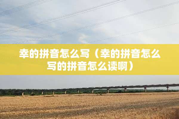 幸的拼音怎么写（幸的拼音怎么写的拼音怎么读啊）