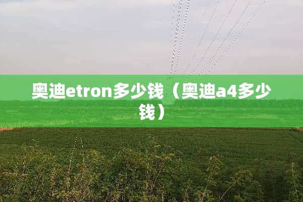 奥迪etron多少钱（奥迪a4多少钱）
