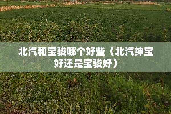 北汽和宝骏哪个好些（北汽绅宝好还是宝骏好）