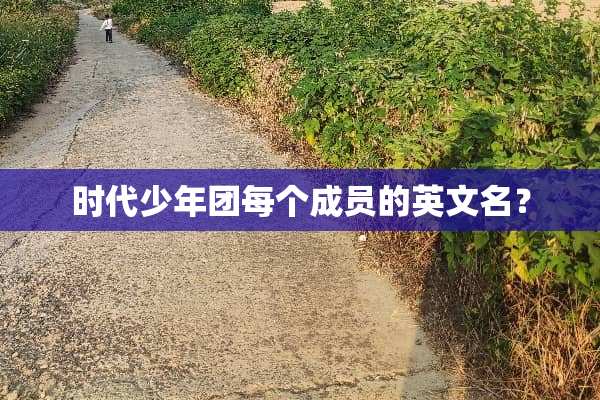 时代少年团每个成员的英文名？