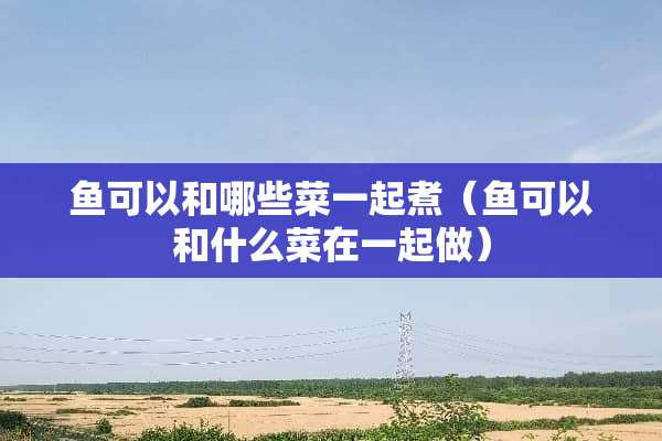 鱼可以和哪些菜一起煮（鱼可以和什么菜在一起做）