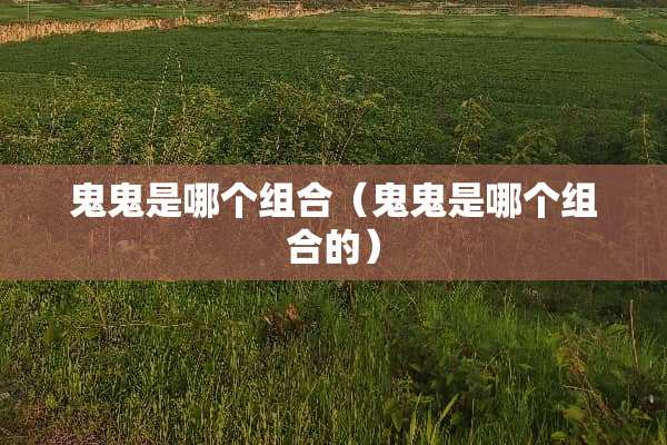 鬼鬼是哪个组合（鬼鬼是哪个组合的）