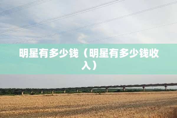 明星有多少钱（明星有多少钱收入）