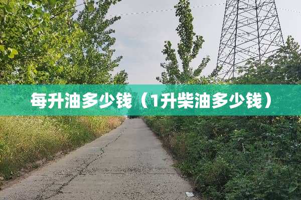 每升油多少钱（1升柴油多少钱）