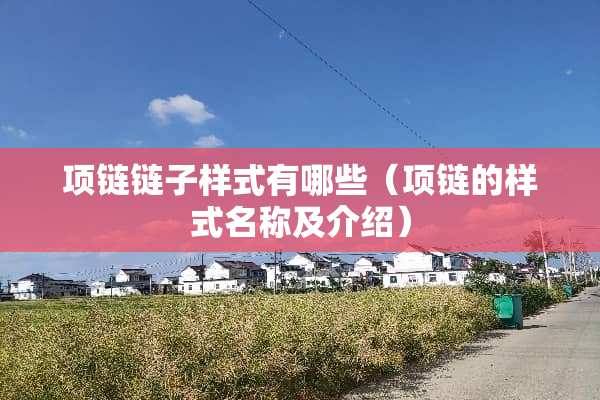 项链链子样式有哪些（项链的样式名称及介绍）