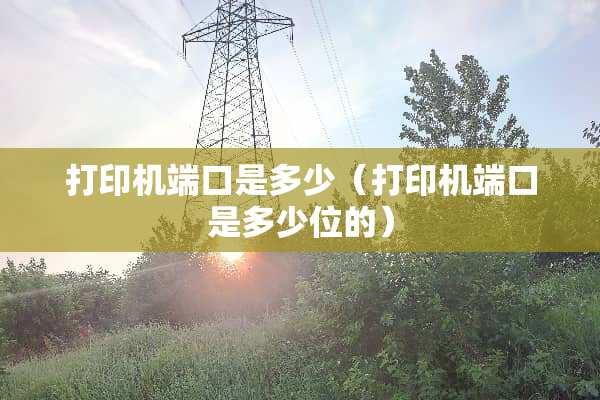 打印机端口是多少（打印机端口是多少位的）