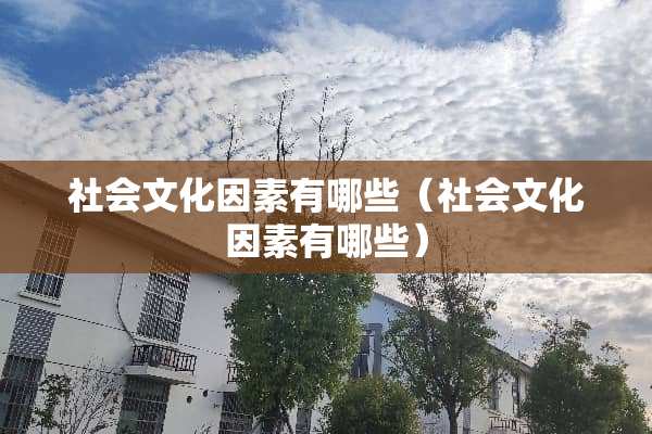 社会文化因素有哪些（社会文化因素有哪些）