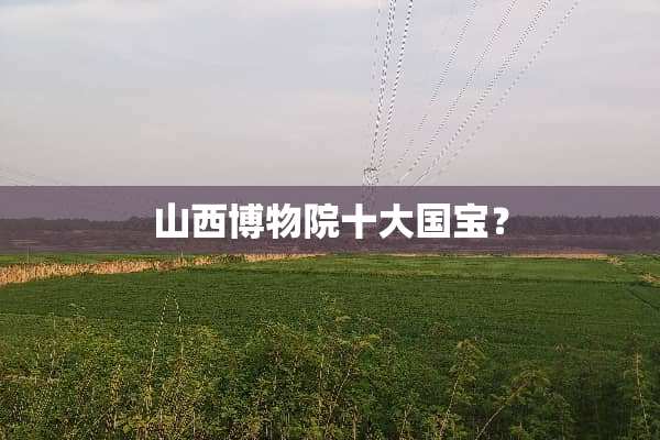 山西博物院十大国宝？