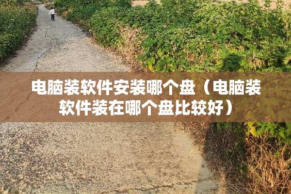 电脑装软件安装哪个盘（电脑装软件装在哪个盘比较好）