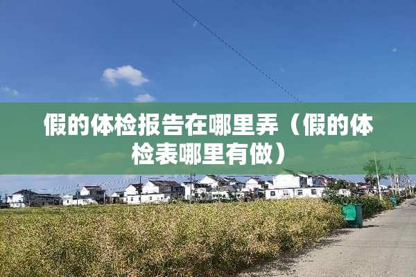 假的体检报告在哪里弄（假的体检表哪里有做）