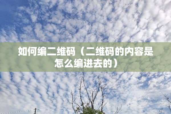 如何编二维码（二维码的内容是怎么编进去的）