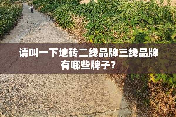 请叫一下地砖二线品牌三线品牌有哪些牌子？