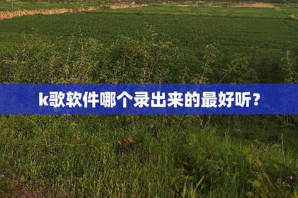 k歌软件哪个录出来的最好听？