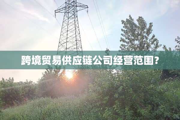 跨境贸易供应链公司经营范围？