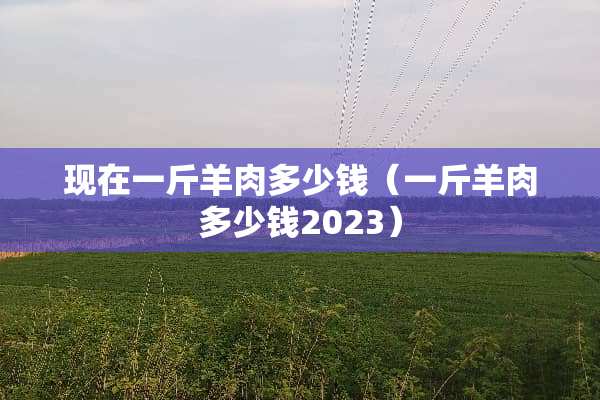现在一斤羊肉多少钱（一斤羊肉多少钱2023）