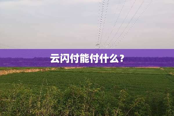 云闪付能付什么？