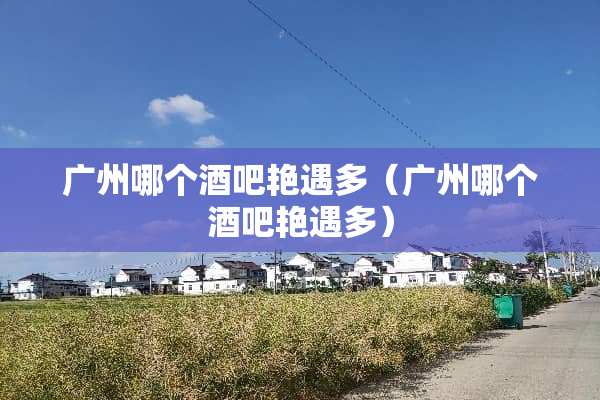 广州哪个酒吧**多（广州哪个酒吧**多）