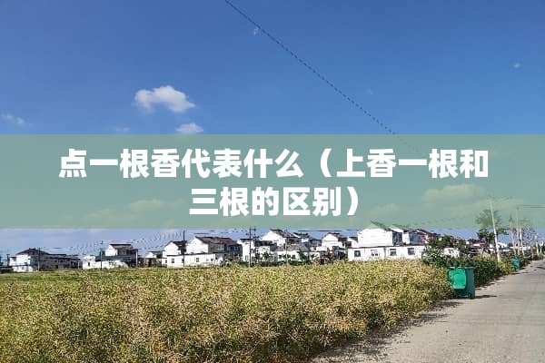 点一根香代表什么（上香一根和三根的区别）