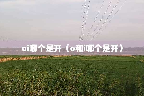 oi哪个是开（o和i哪个是开）
