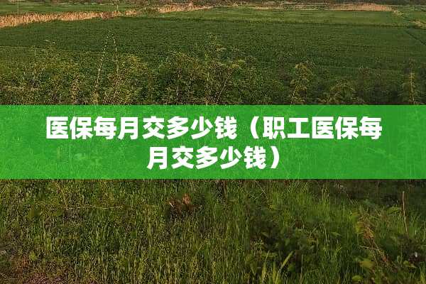 医保每月交多少钱（职工医保每月交多少钱）