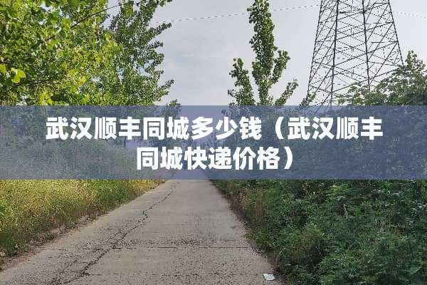 武汉顺丰同城多少钱（武汉顺丰同城快递价格）
