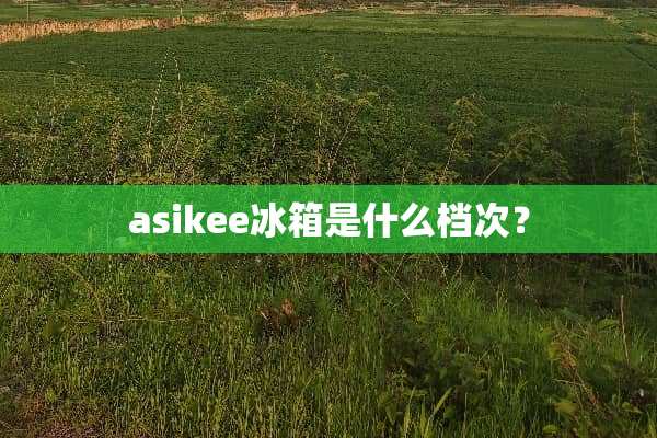 asikee冰箱是什么档次？