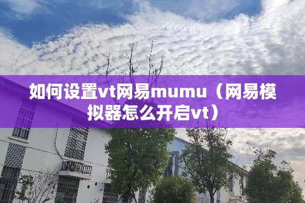 如何设置vt网易mumu（网易模拟器怎么开启vt）