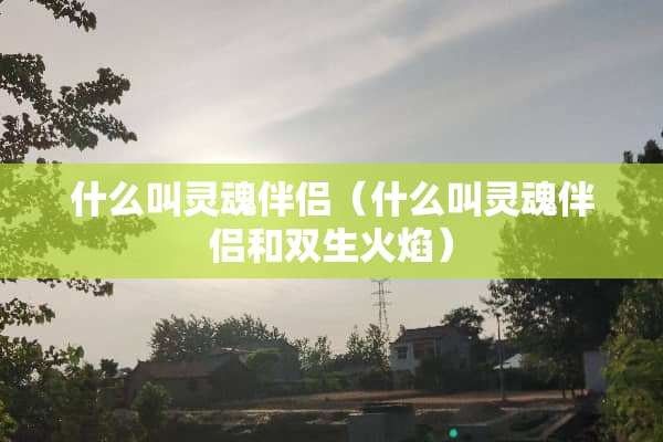 什么叫灵魂伴侣（什么叫灵魂伴侣和双生火焰）