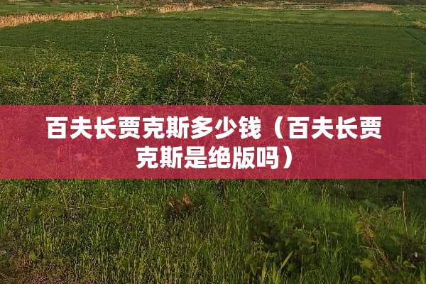 百夫长贾克斯多少钱（百夫长贾克斯是**吗）