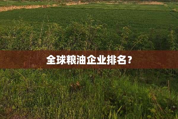 全球粮油企业排名？