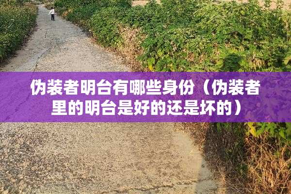 伪装者明台有哪些身份（伪装者里的明台是好的还是坏的）