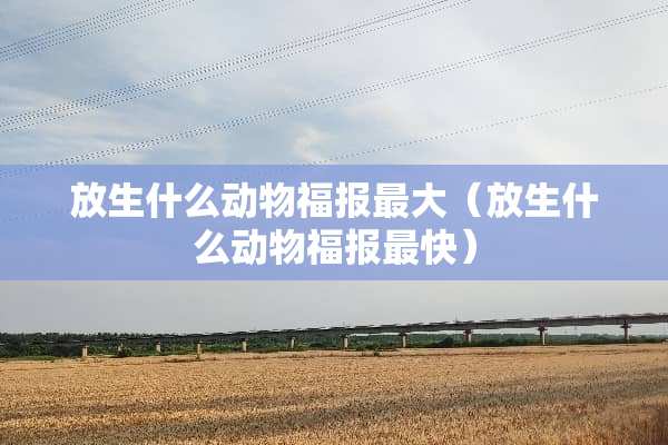 放生什么动物福报最大（放生什么动物福报最快）