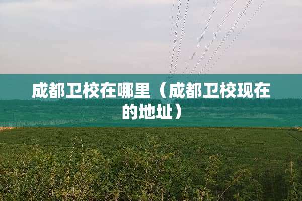 成都卫校在哪里（成都卫校现在的地址）