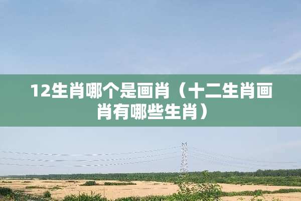 12生肖哪个是画肖（十二生肖画肖有哪些生肖）