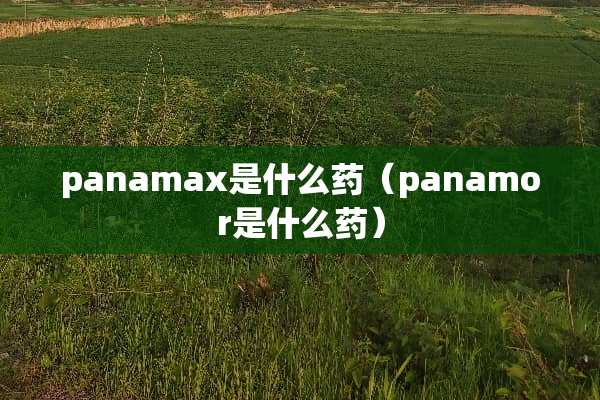 panamax是什么药（panamor是什么药）