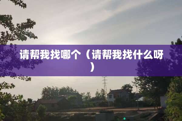 请帮我找哪个（请帮我找什么呀）