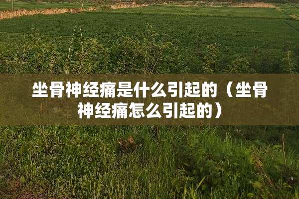 坐骨神经痛是什么引起的（坐骨神经痛怎么引起的）