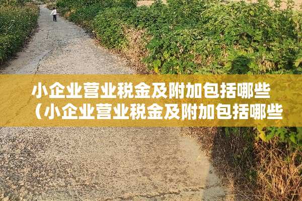 小企业营业税金及附加包括哪些（小企业营业税金及附加包括哪些税种）