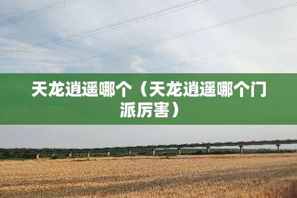天龙逍遥哪个（天龙逍遥哪个门派厉害）