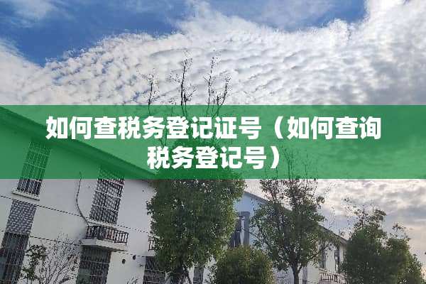 如何查税务登记证号（如何查询税务登记号）